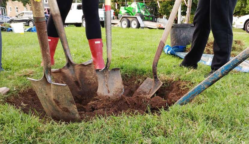 UK students dig a hole to plant a tree in fall 2017